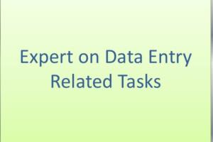 Portfolio for Data Entry Specialist